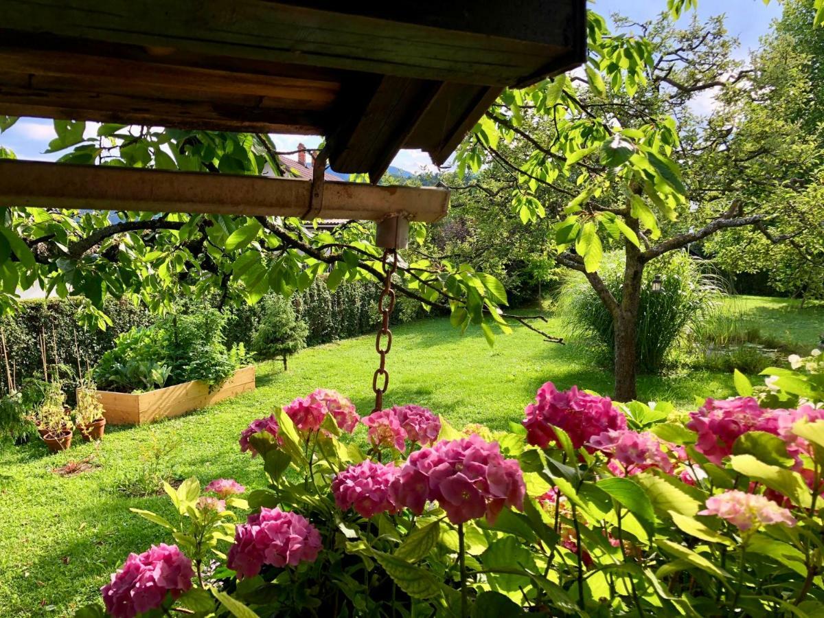 Home Apartments & Yoga Studio Bled-Recica ภายนอก รูปภาพ