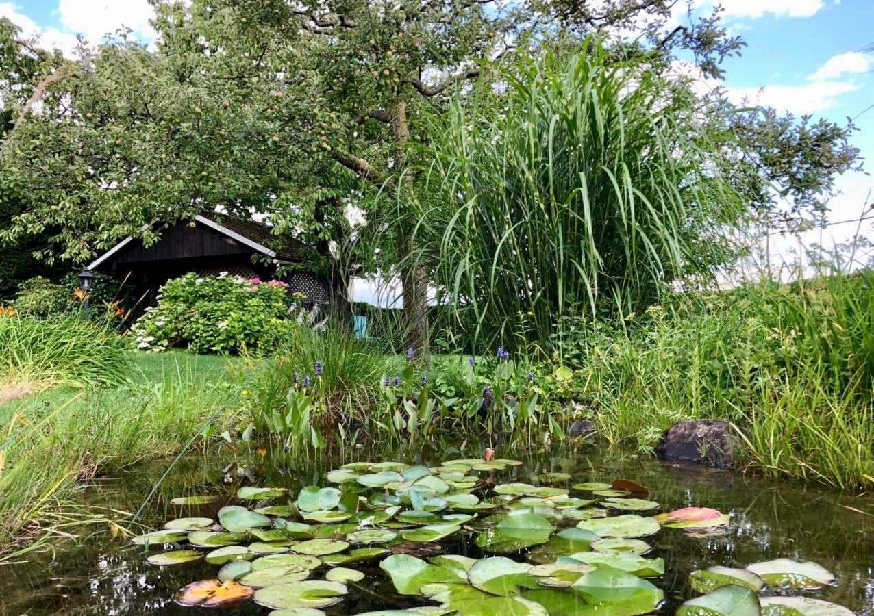Home Apartments & Yoga Studio Bled-Recica ภายนอก รูปภาพ
